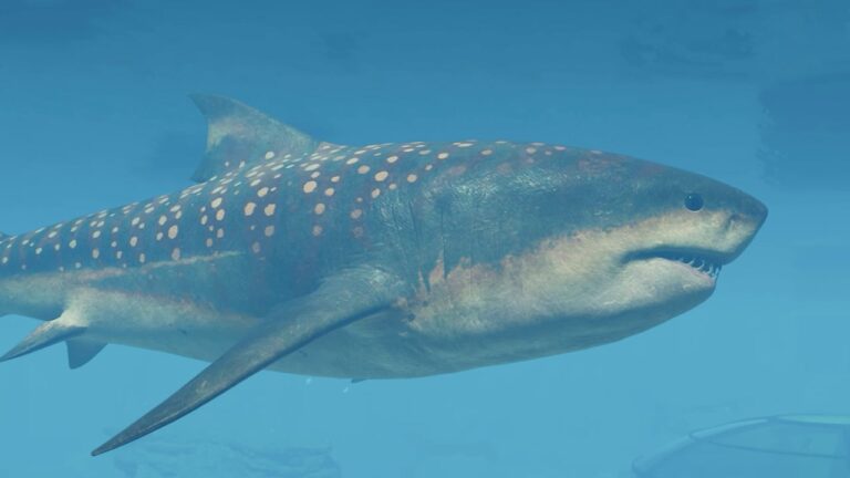 The Megalodon Comes to Jurassic World Evolution 3 — Just Don’t Try Punching It in the Face