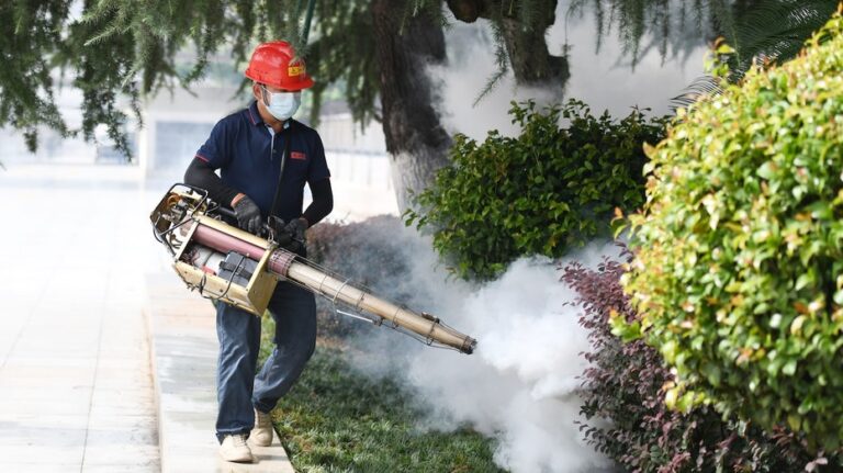 Новая опасность для путешественников: вирус chikungunya вызывает тревогу в США