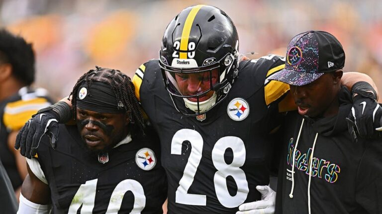 Игроки Steelers раскритиковали состояние газона на домашней арене