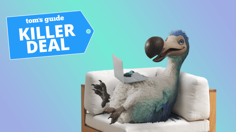 Dodo предлагает самую выгодную цену на тарифный план NBN 500 — всего 63 австралийских доллара в месяц
