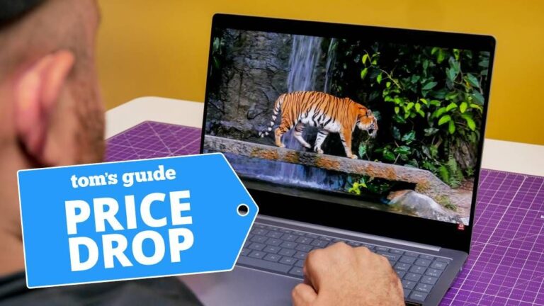 Лучшие предложения на ноутбуки с Windows 11: скидки в продаже от Best Buy