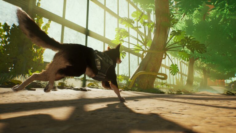 Barkour: инновационный стелс-экшен с собачьим героем и открытым миром