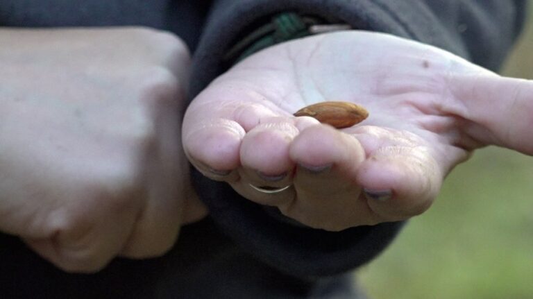 Битва за границы: фермеры и политики спорят о поправке 50 в Калифорнии