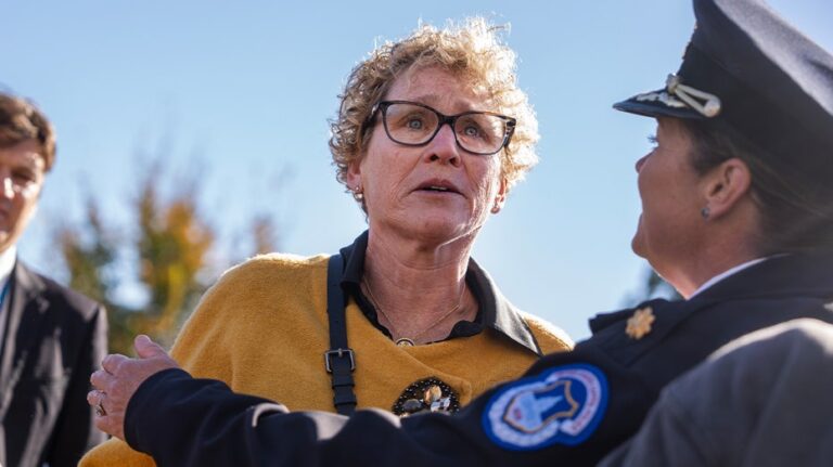 Почему депутат Хулхан прервала пресс-конференцию Спикера Джонсона: взгляд изнутри