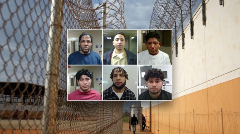 В Virginia задержаны опасные преступники и наркоторговцы, среди них — сексуальные преступники и незаконные мигранты с криминальным прошлым