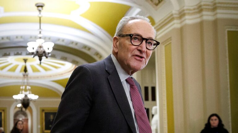 Сенатские демократы предлагают альтернативный план по финансированию правительства и продлению субсидий Obamacare на год