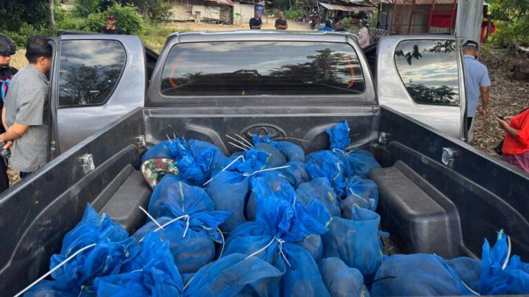 В Таиланде задержаны два человека с 81 обезьяной и наркотиками в рамках международной сети контрабанды дикой природы