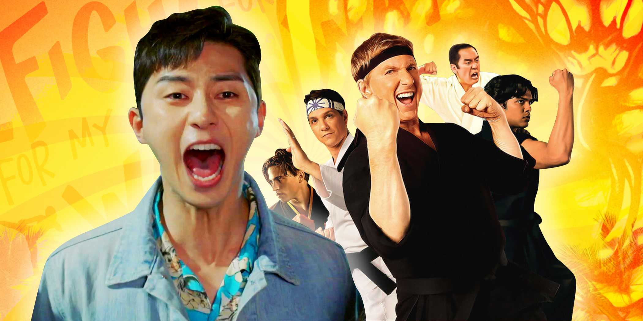 Настраированная картинка Fight For My Way и Cobra Kai