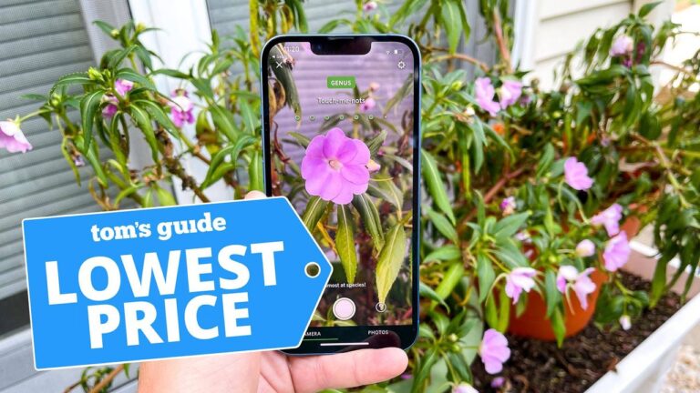 Доступный iPhone 13 за $49: выгодное предложение от Total Wireless