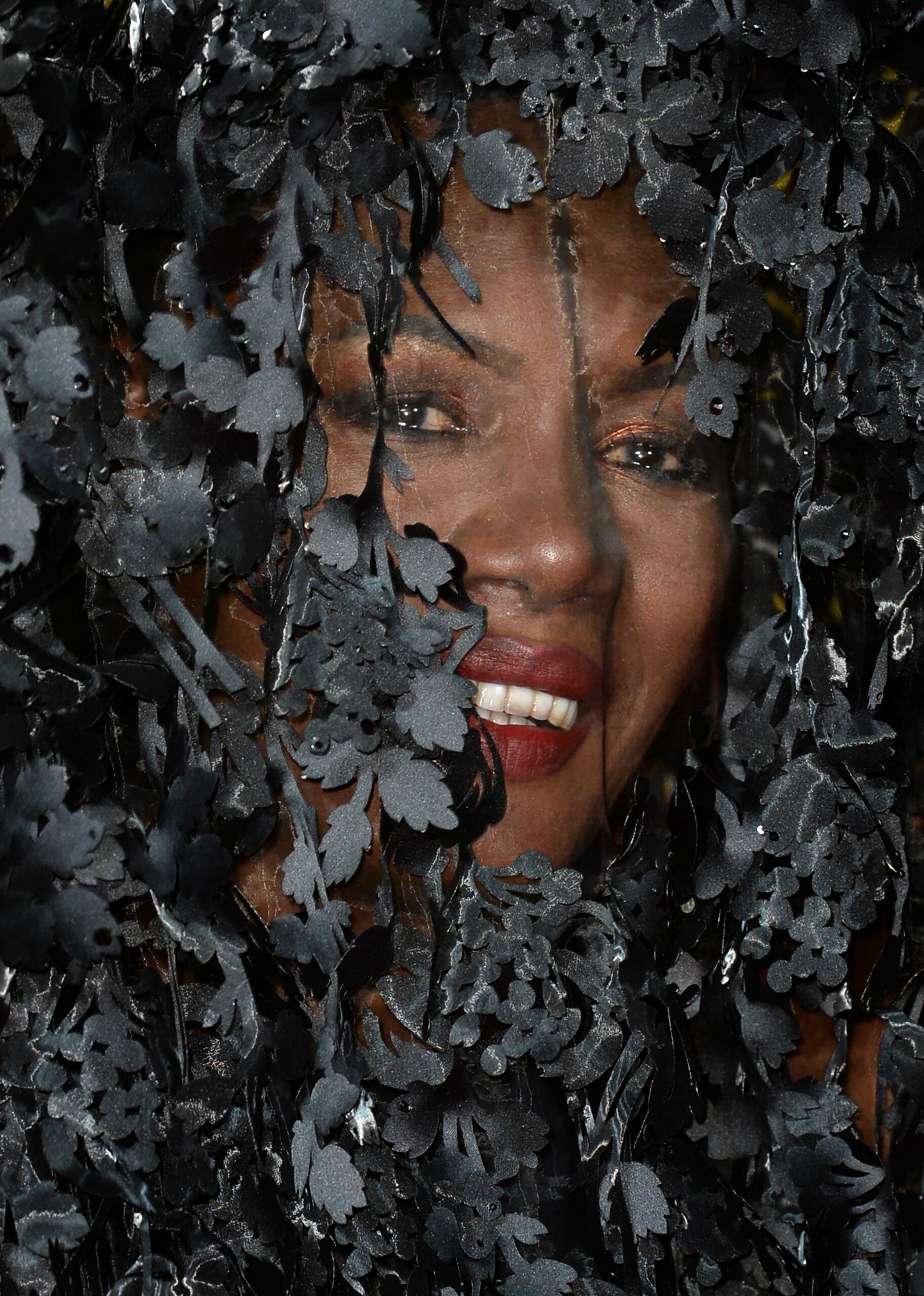 Фотография Грейс Джонс