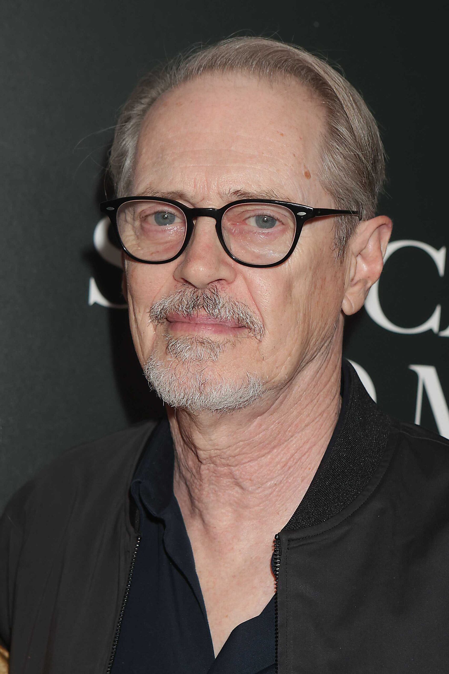 Фото Стефана Баскеми на премьере "She Came To Me" в Нью-Йорке