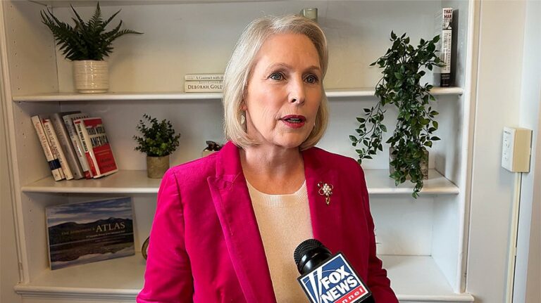 Как Демократы планируют вернуть большинство в Сенате к 2026 году и какие риски могут их подорвать