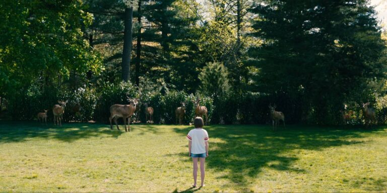 Объяснение концовки «Оставьте мир позади