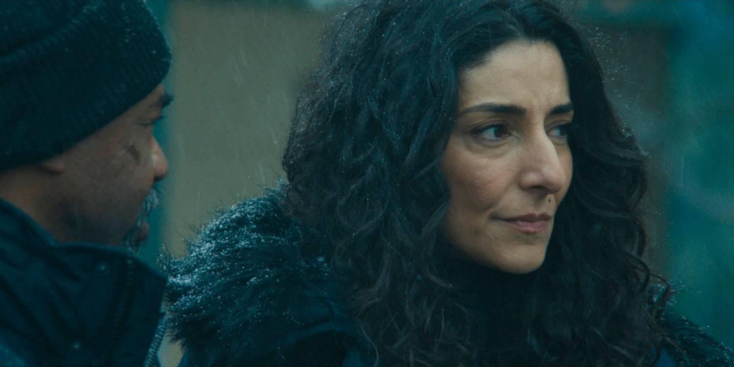 Эвелин (Некар Задеган) в 3 сезоне сериала "Mayor of Kingstown", эпизод 2