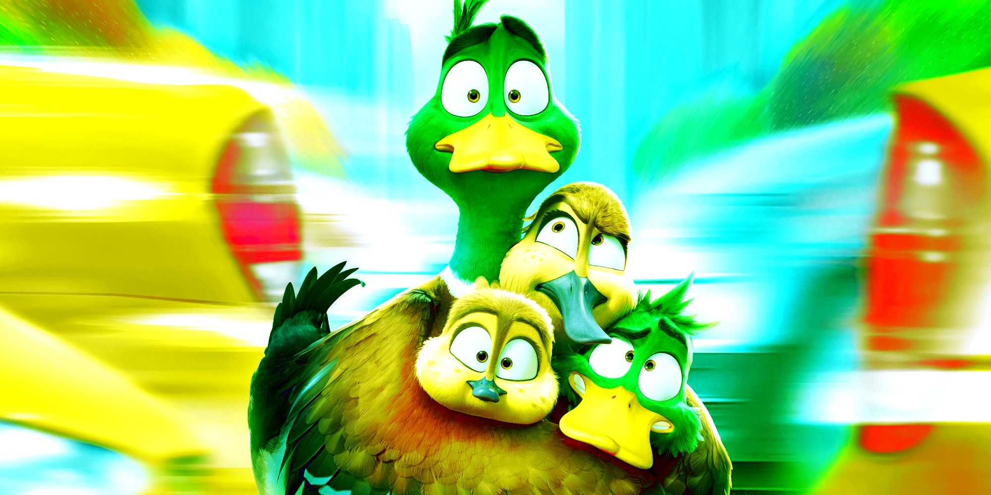 Семья уток в Migration с машинами позади