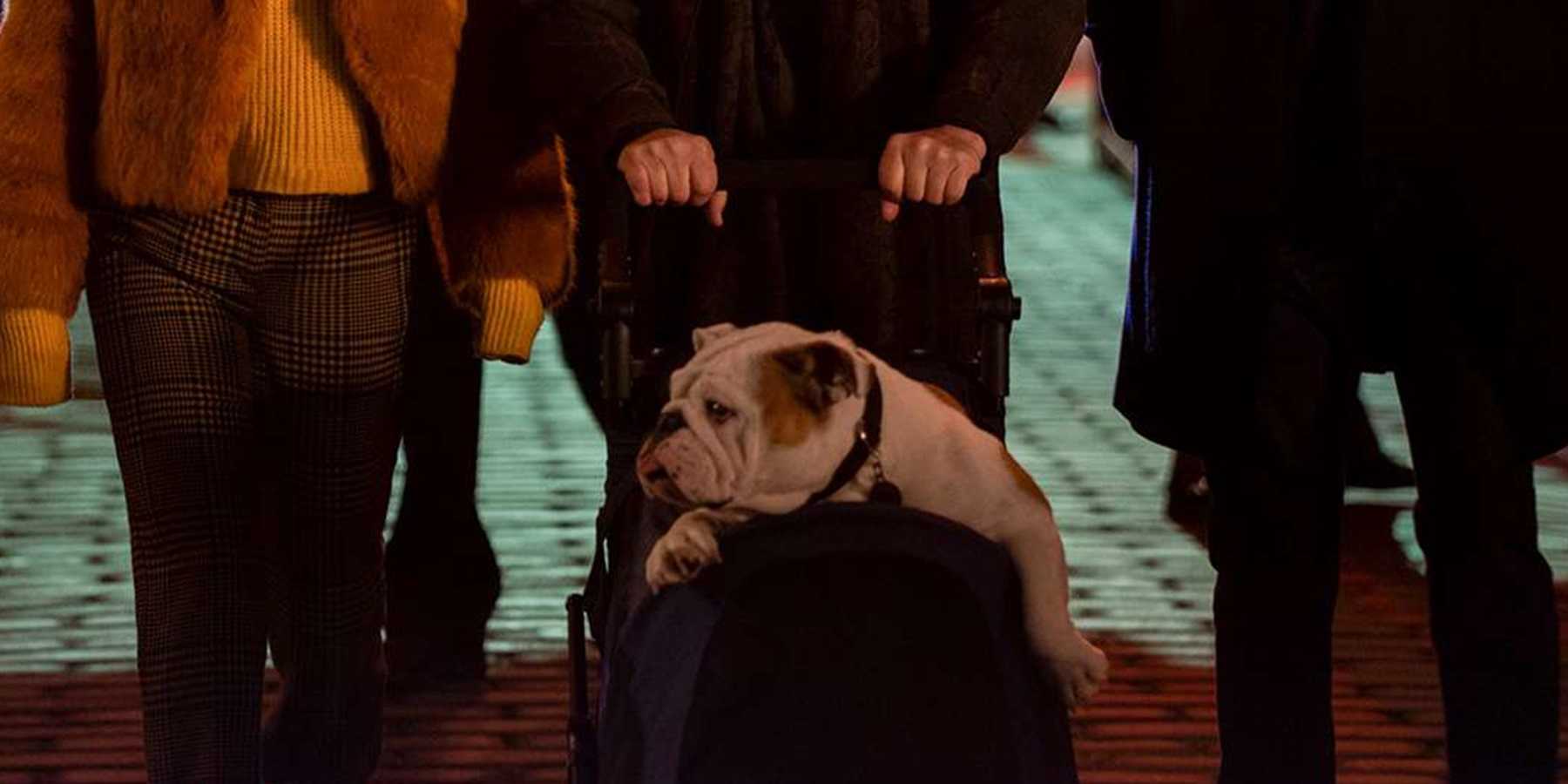 Оливер толкает Винни в коляске в *Only Murders in the Building*