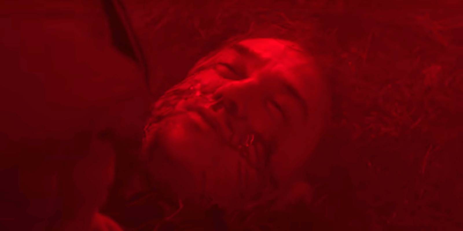 Доктор Бaun играет в лесу на земле, используя фонарик, чтобы создать красный свет в фильме "The Silencing".