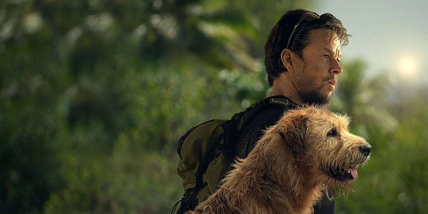 Марк Уолберг и собака, смотрящие вдаль в фильме "Arthur the King"