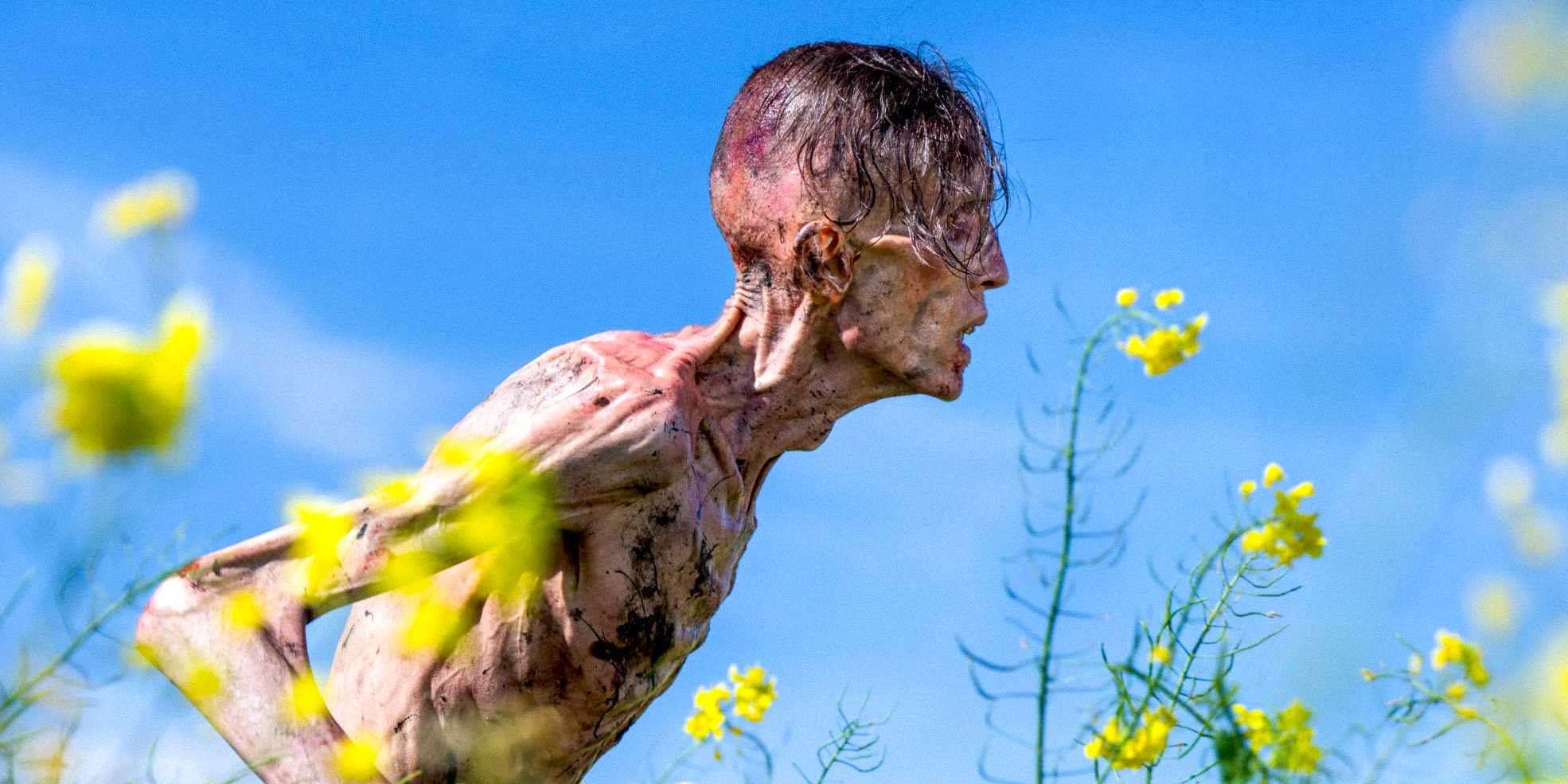 Зараженный, наклонившийся вперед в поле цветов в фильме *28 Years Later*