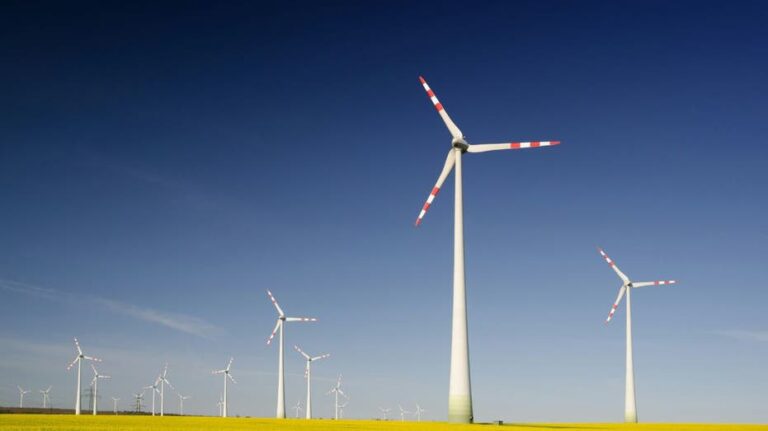 В Миннесоте за убийство орлана-бофина грозит штраф свыше $14 тыс. из-за зелёного проекта, финансируемого Обамой