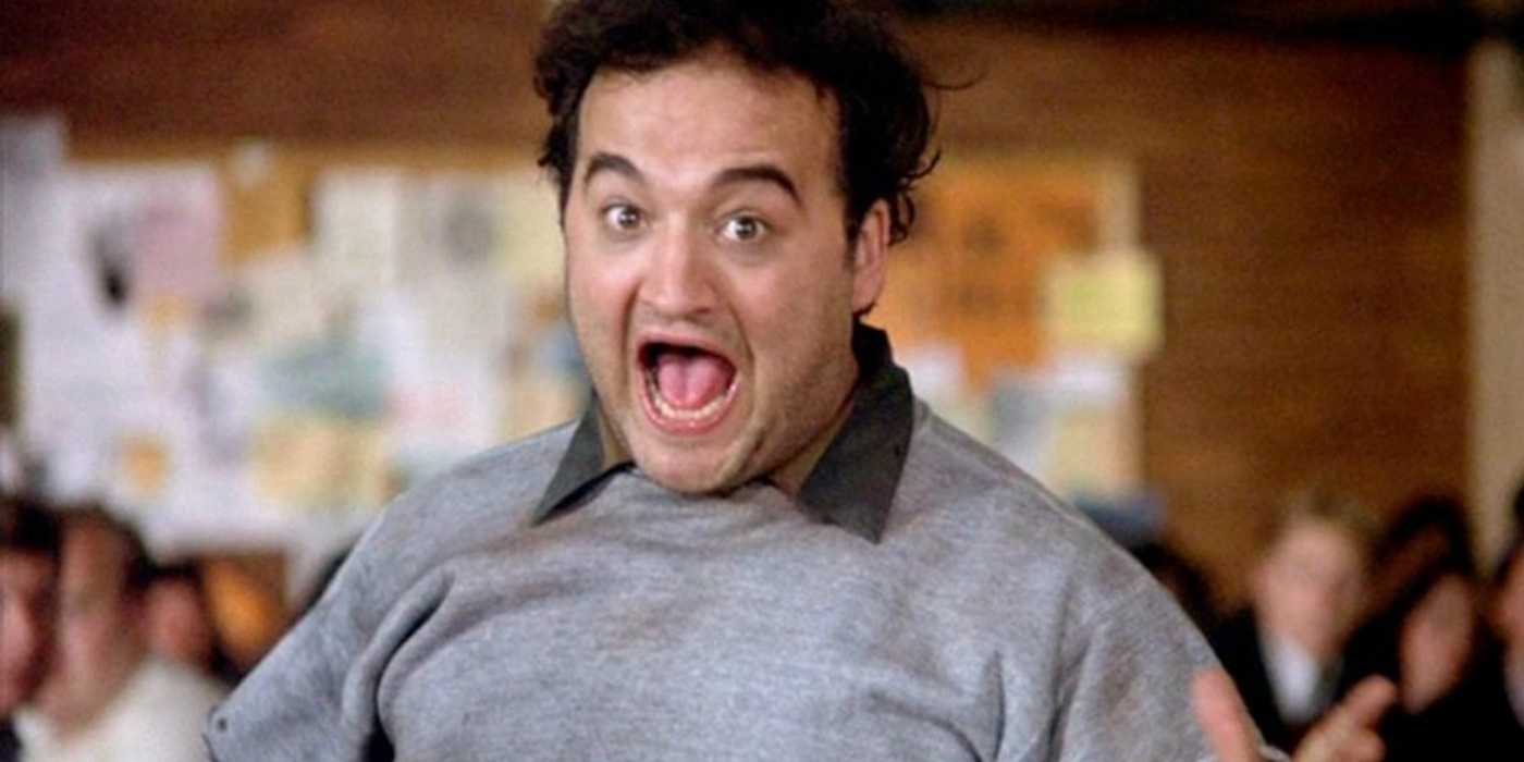 5 animal house Cropped