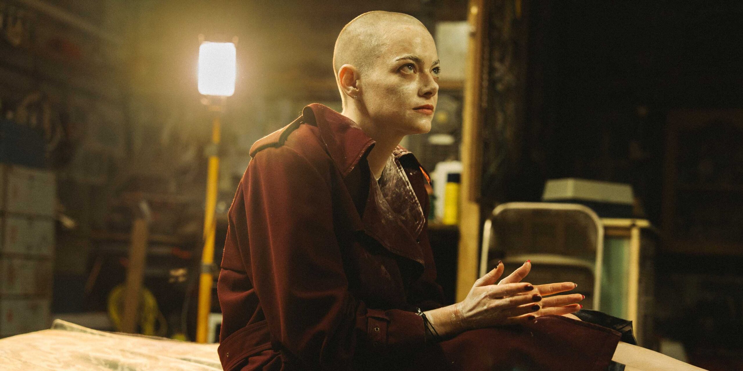 Бледная Эмма Стоун злобно смотрит вверх в "Bugonia"