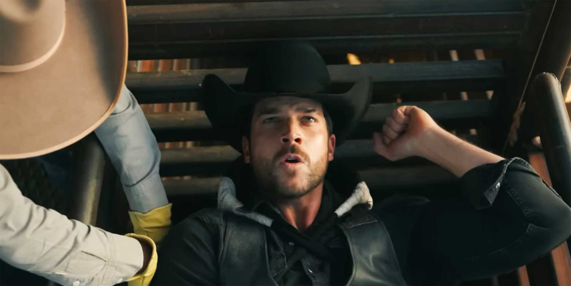 Бык в Рансом Кенне