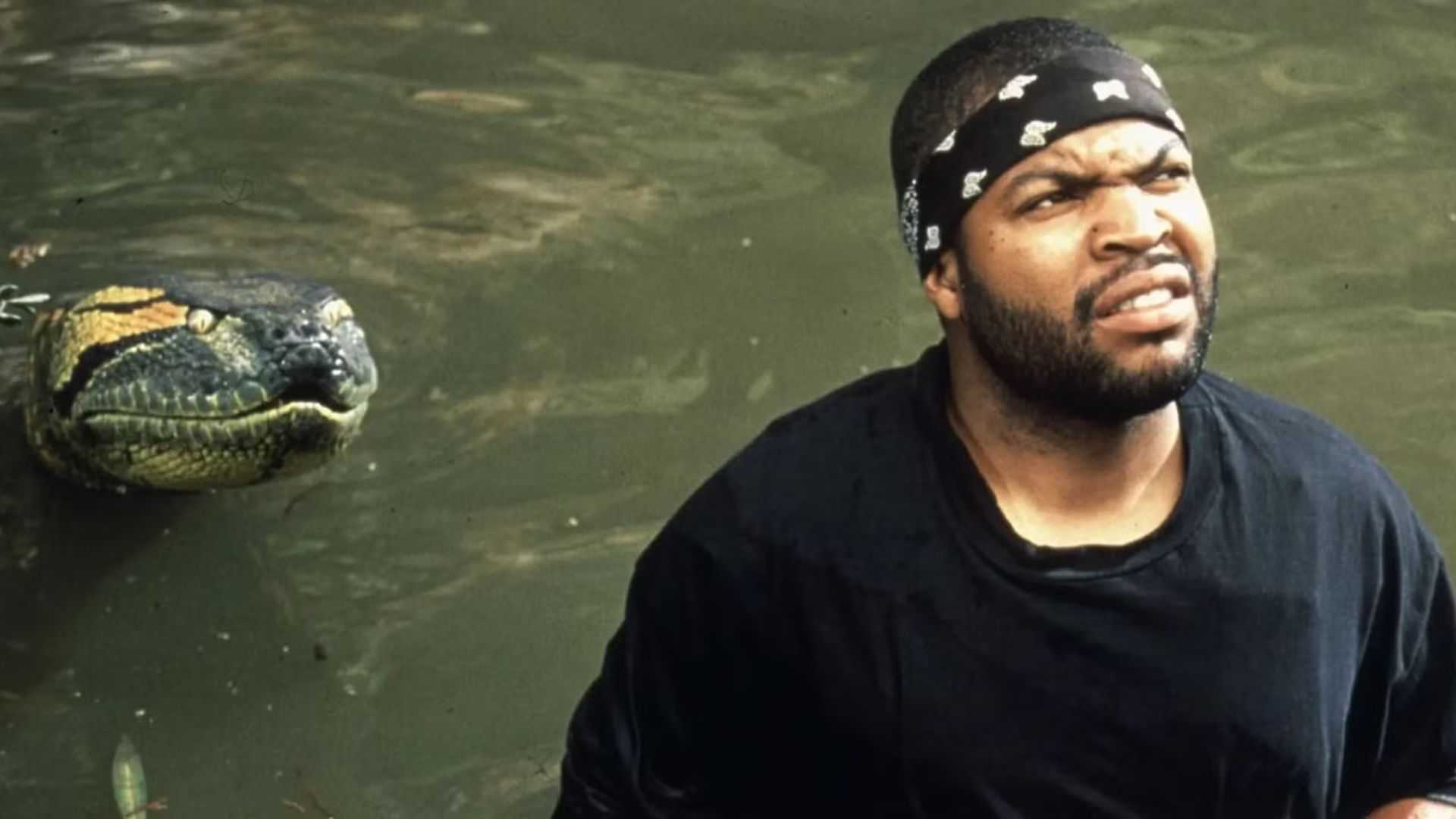 Anaconda крадется за Ice Cube.