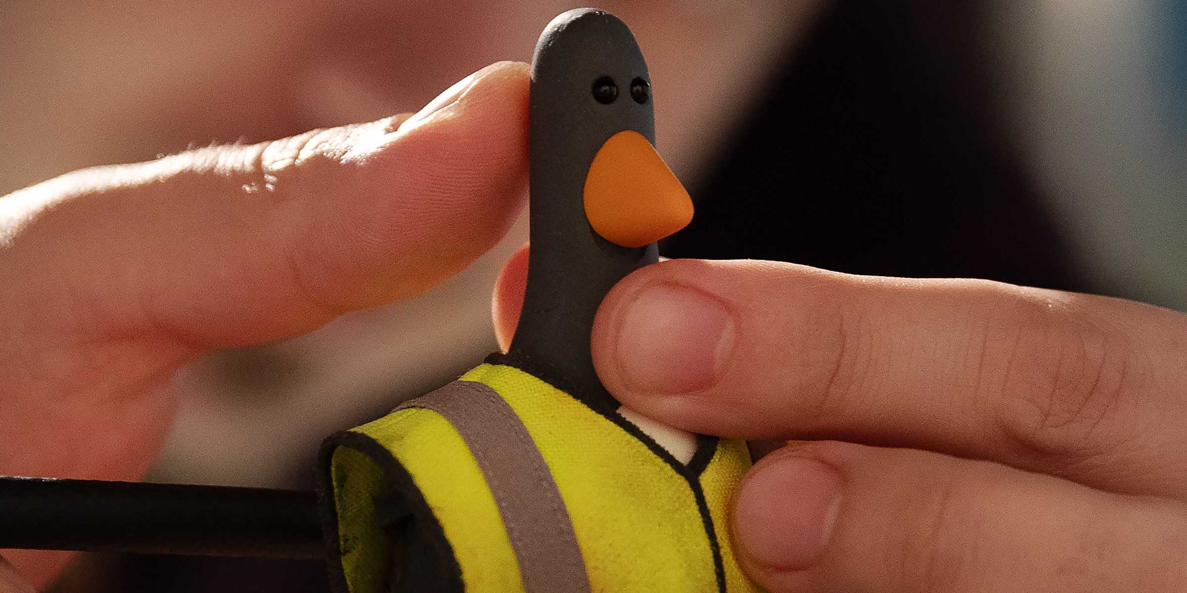 Крупный план Федеса Макгроу в Wallace & Gromit Vengeance Most Fowl