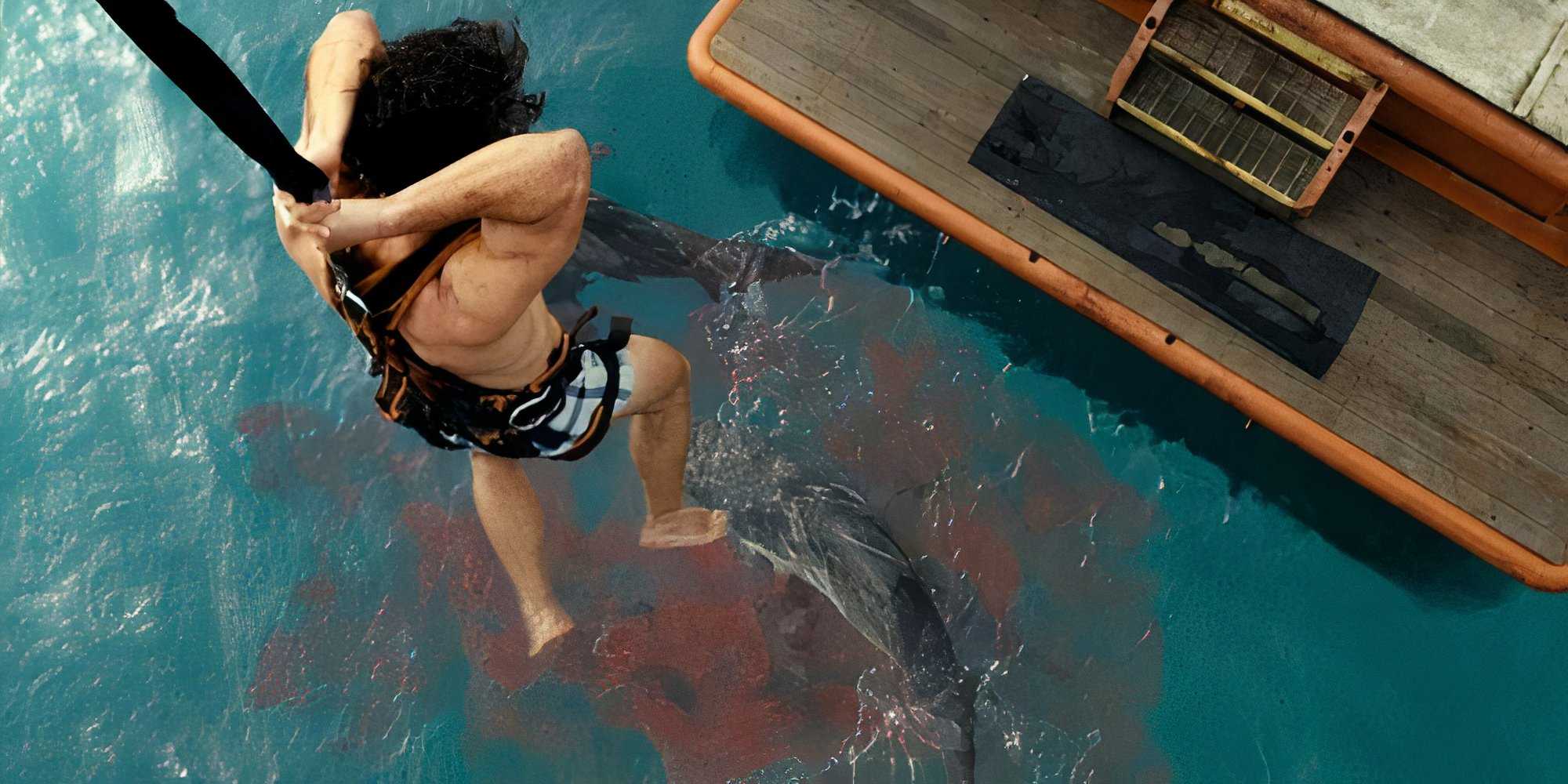 dangerous animals still dangling over sharks