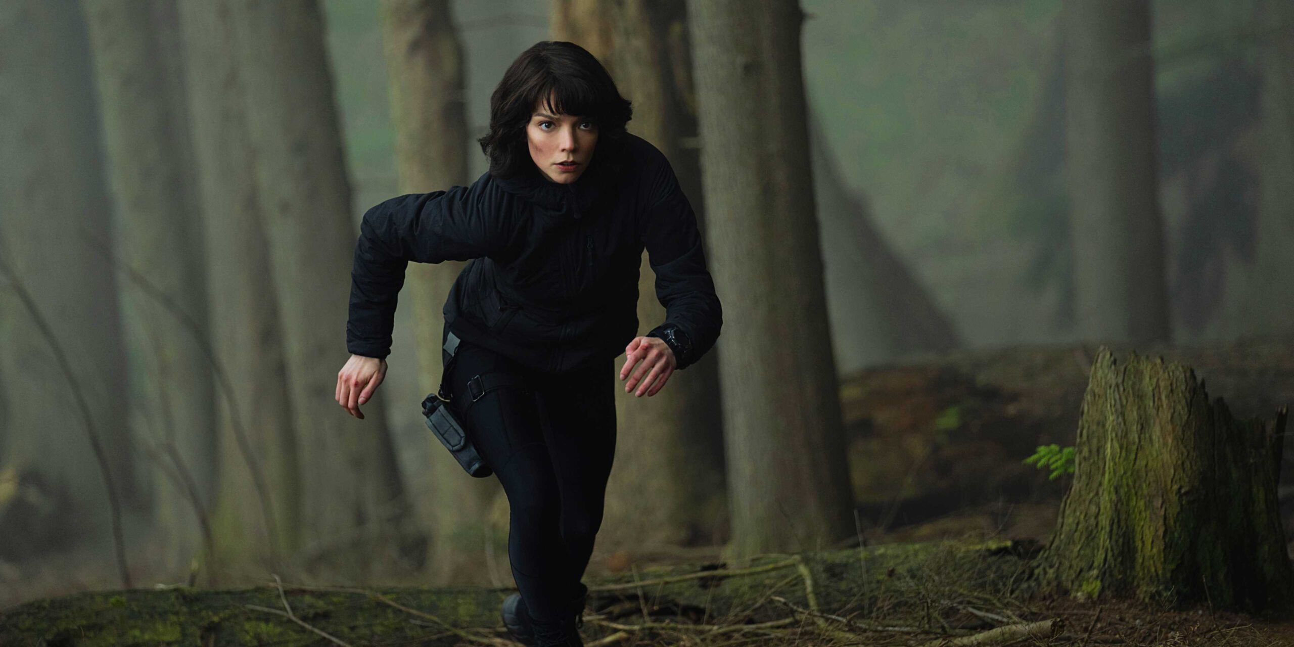 Драса бежит по холму в лесу в The Gorge