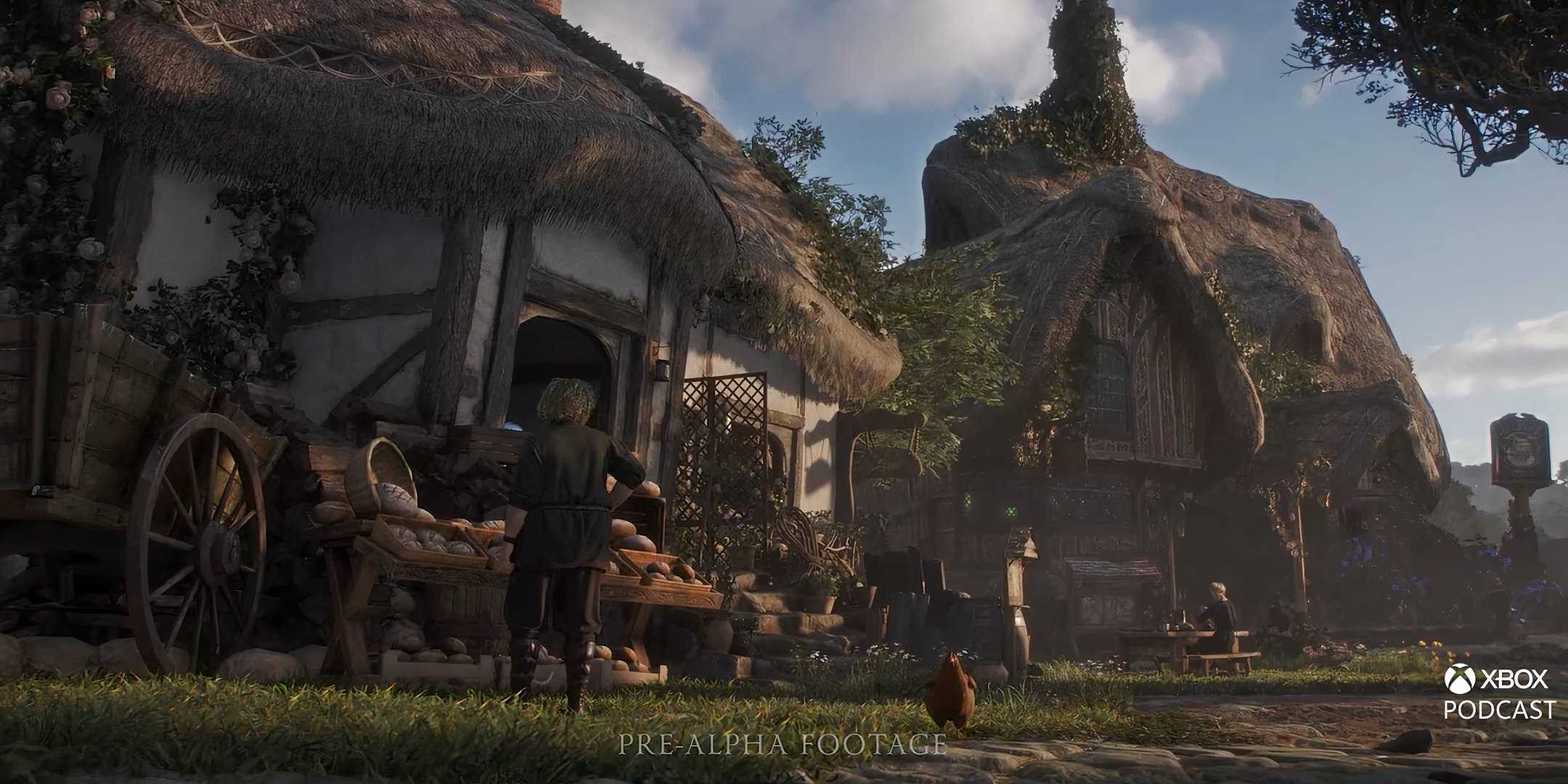 Коллекция средневековых домов в Fable.