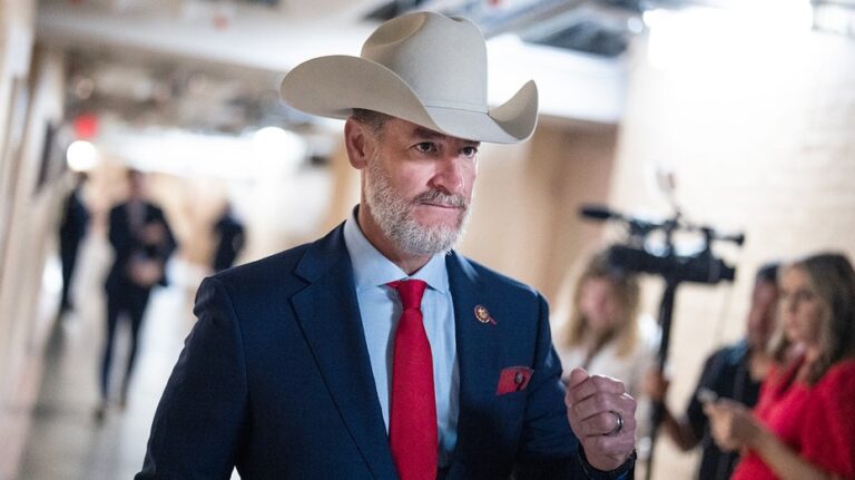 Законопроект о прекращении действия спорной программы H-1B вносит республиканец из Флориды