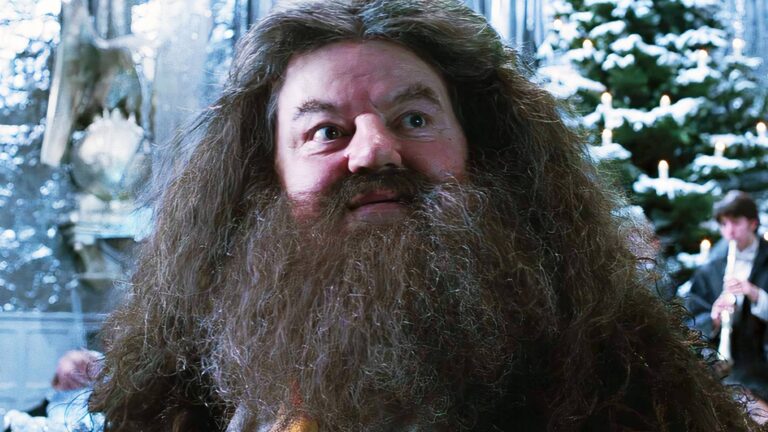 Я обещаю, что не подведу вас»: Звезда ремейка «Гарри Поттер» делится эмоциональным посланием после подтверждения роли Хагрида