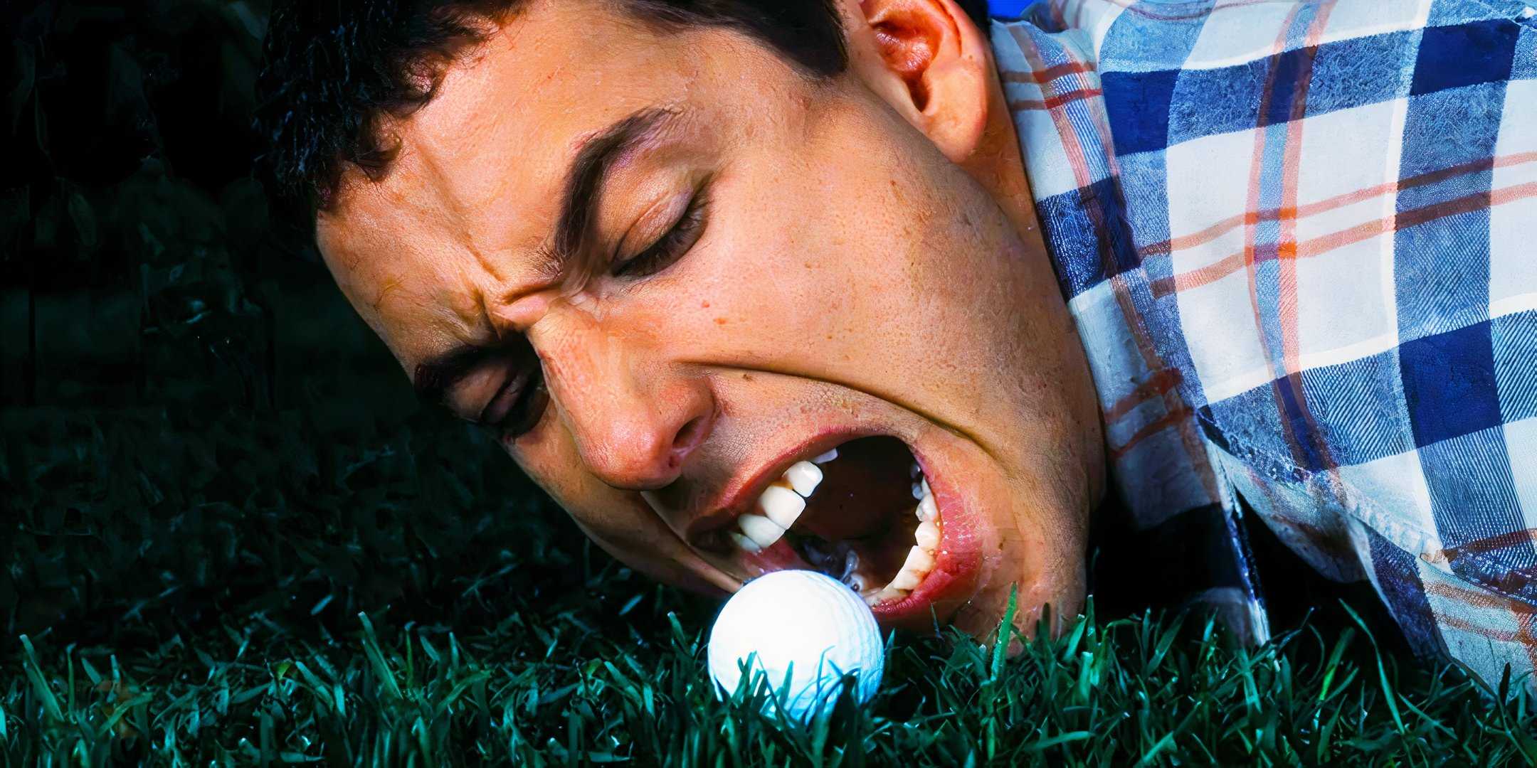 Счастливый Гилор лежит на земле, как будто собирается съесть гольф-мяч