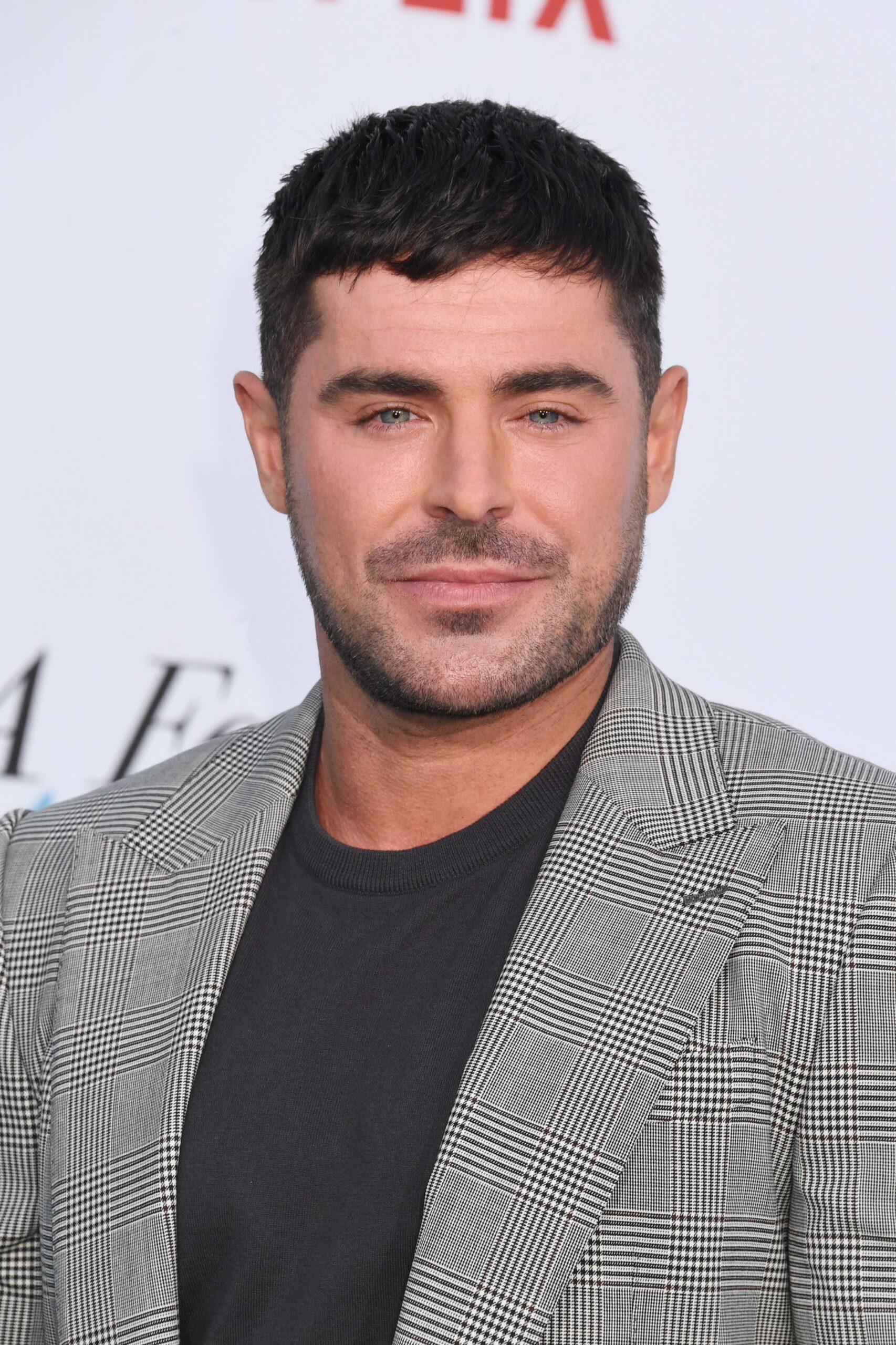 Фотография Зака Эфрона на премьере Netflix "A Family Affair"