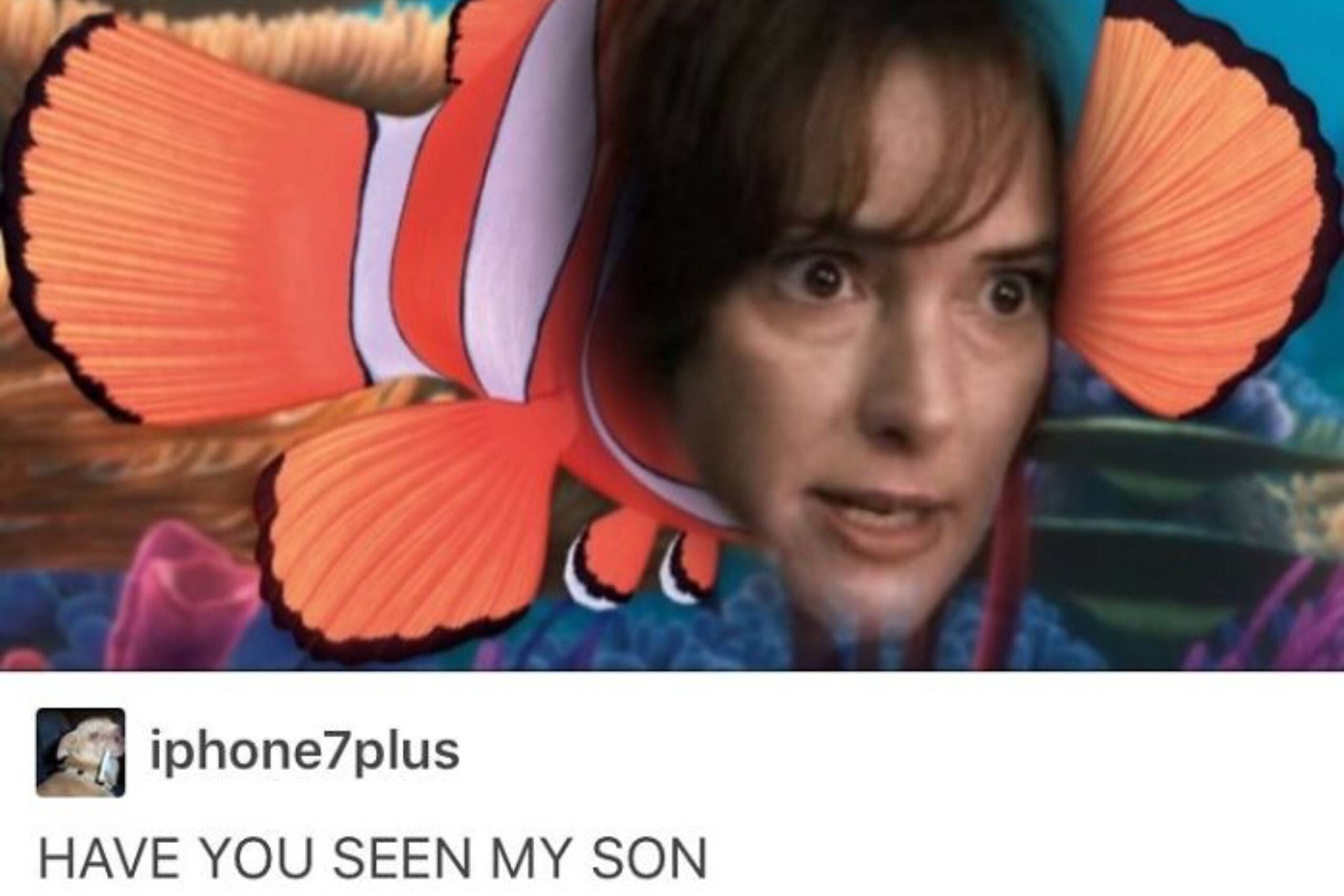 Джойс Бьярс, наложенная на Марлина из "В поисках Немо"