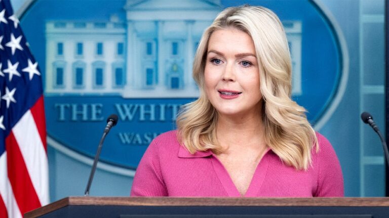 Караолин Левитт выступила против критики СМИ по делу о выборах в Фултоне, меняя позицию после долгих обвинений России