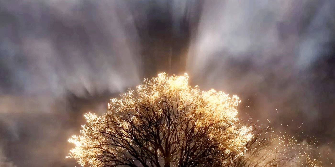 Тень Моргота за деревом Валинора в "Кольца власти".