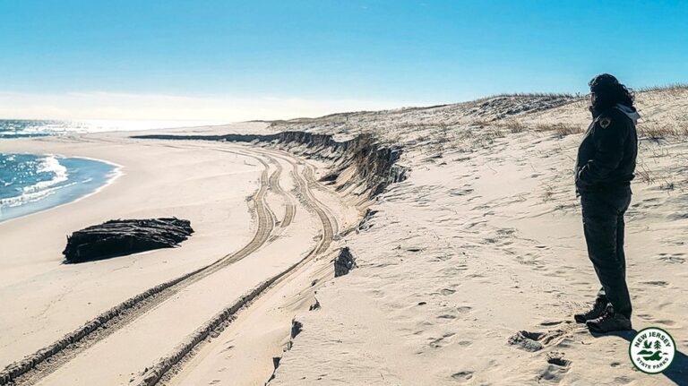 На пляже на Восточном побережье обнаружен древний корабль XIX века, скрытый под песком