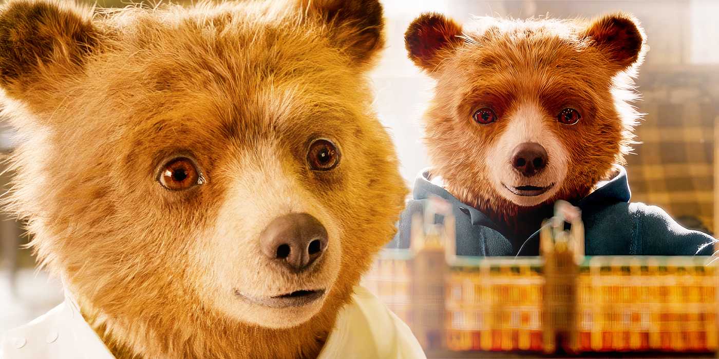 Композитное изображение, на котором Paddington стоит чуть в стороне и Paddington с книгой-раскладушкой в Paddington 2