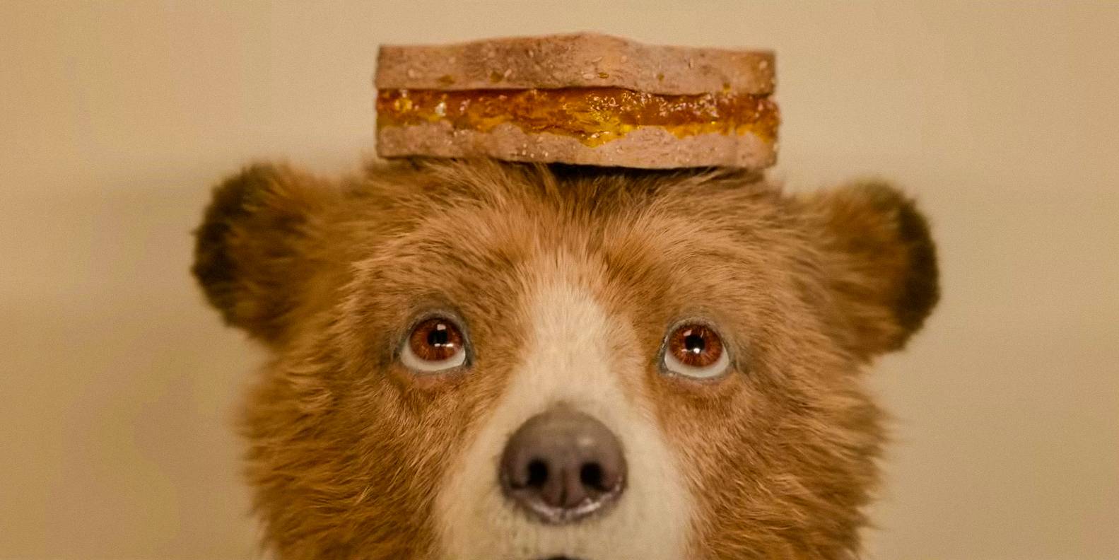 Пэддинтон, держащий в руках сэндвич с джемом в Paddington in Peru