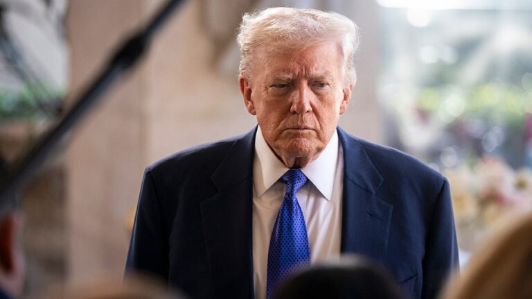 Политические силы расходятся по поводу обвинений в попытках вмешательства в выборы и законопроекта о voter ID