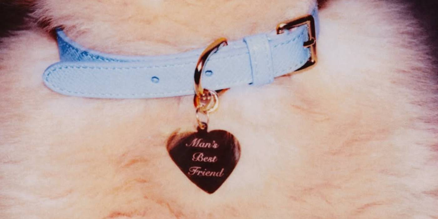 Sabrina Carpenter Man's Best Friend Album Art