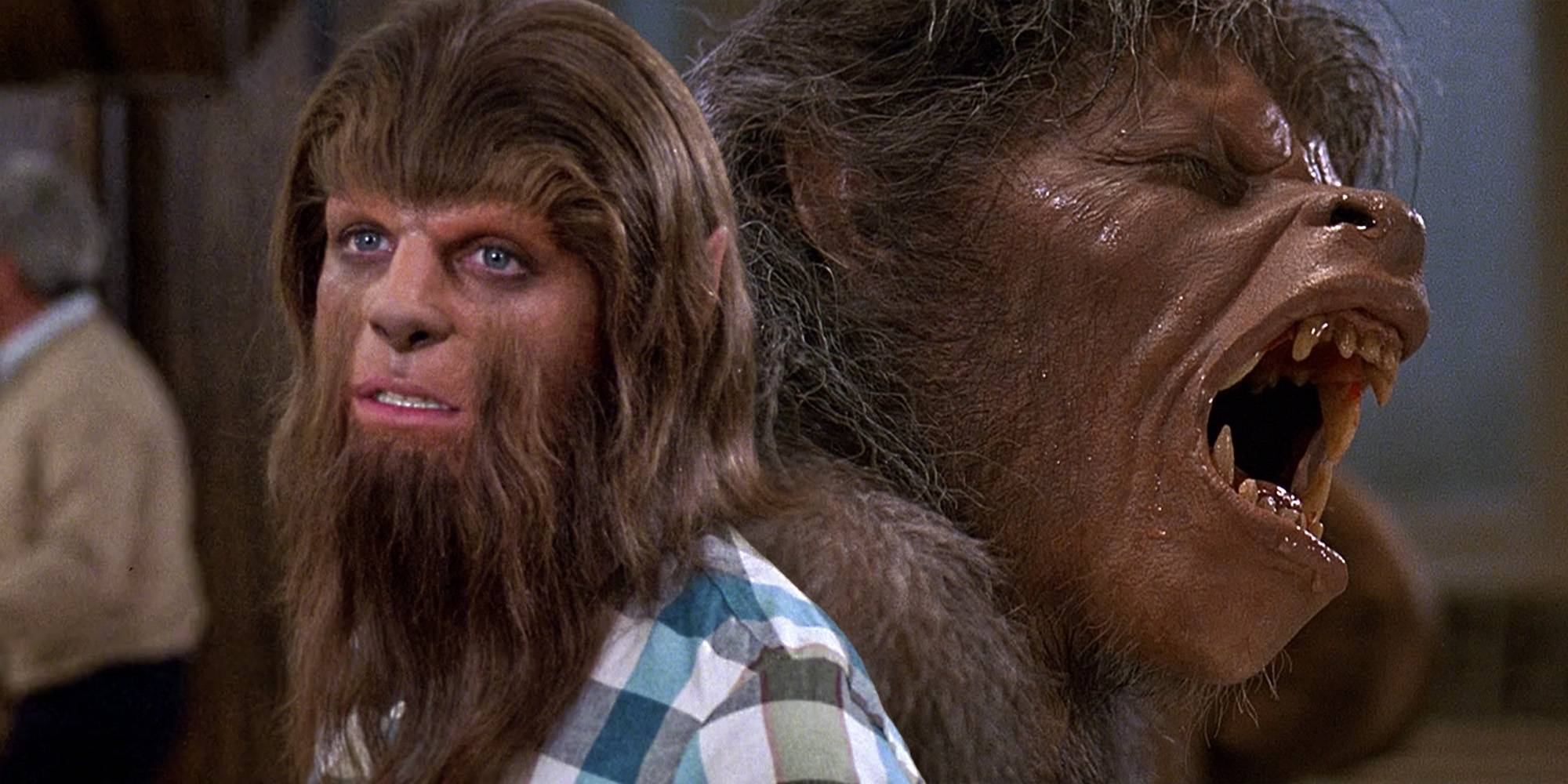 Teen wolf an american werewolf in london