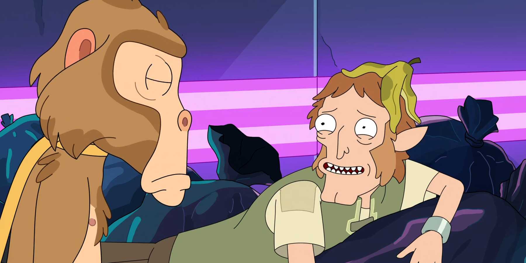 Зоолог, улыбающийся с кожурой банана на голове рядом с Новой Лизи в 8 сезоне "Рик и Морти"