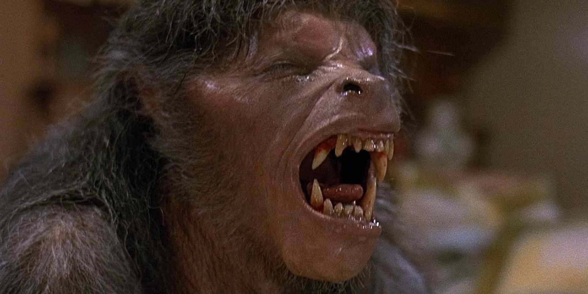Оборотень (An American Werewolf in London)