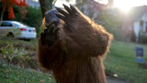 В северо-восточной Огайо за четыре дня зафиксировано шесть сообщений о встречах с бигфутом, вызывающих интерес криптозоологов