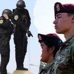 США готовят силы к партизанским атакам в регионе, эксперты предупреждают о росте опасности