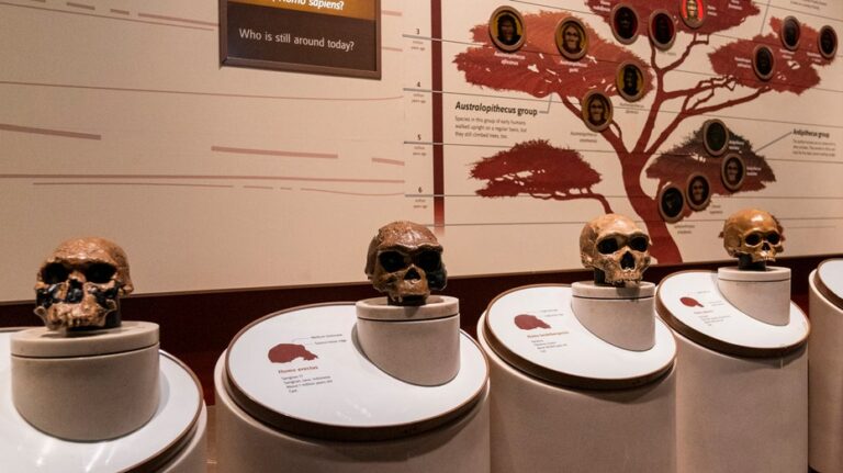 Ученые нашли ген, который мог стать ключом к развитию человеческой речи